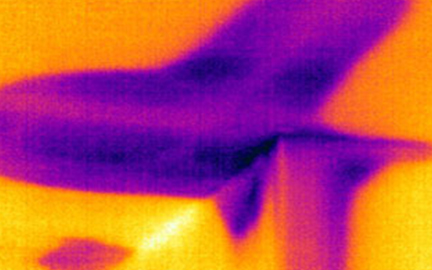 thermographie-infrarouge-Water-infiltration