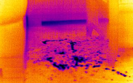 thermographie-infrarouge-Electricity