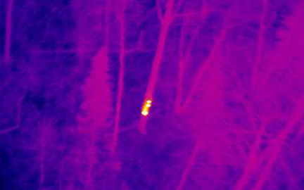 thermographie-infrarouge-Electricity